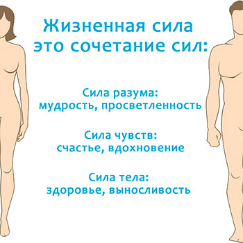 Практикум "Сила Жизни"